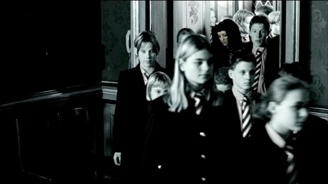 Freya - Yellow Ladybird