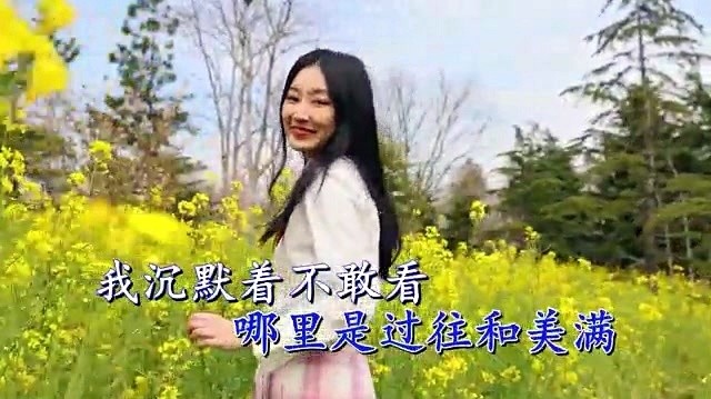 淇滢 - 彼岸之川 (KTV版)