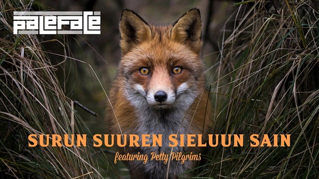 Paleface - Surun suuren sieluun sain (Audio) (音频版)