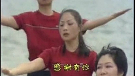 陈红 - 感恩的心 (手语版)
