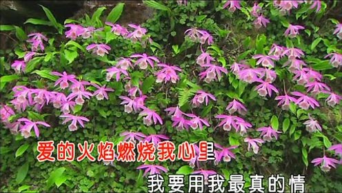 门丽 - 谢谢上天让我遇见你 (KTV版)