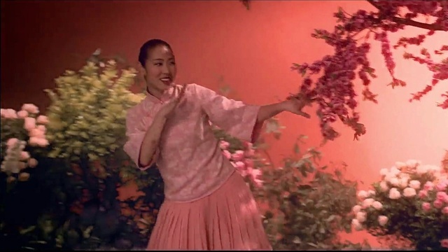 王若琳 - 今宵多珍重