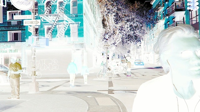 Eva Dahlgren - Hela världen står i blom