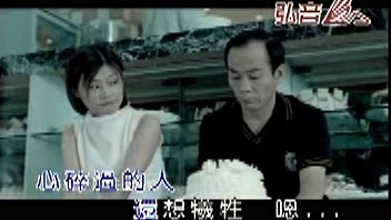 何静 - 风雨不了情 (KTV版)