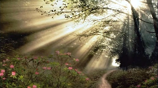 黄慧音 - 南无阿弥陀佛 (音频版)