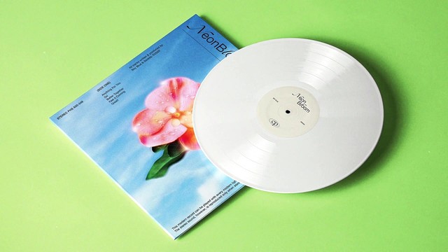 neonbloom - Anything For You