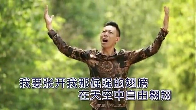 金生 - 倔强的翅膀 (KTV版)