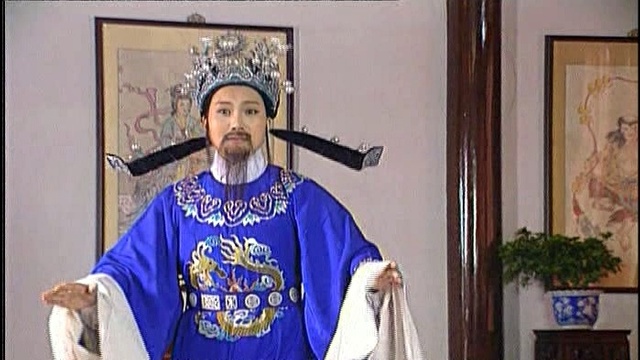 杨慧月 - 我自饮毒浆了残生 (KTV版)