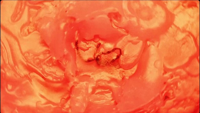 Daniela Andrade - Wet Dreams