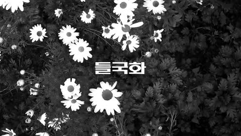 野菊花 - 걷고, 걷고 (预告版) (Walk On)