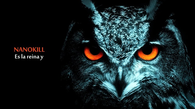 Bono Killa - Es la reina y