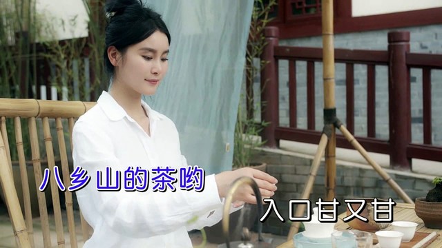 王觉 - 八乡山 (KTV版)