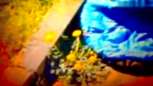 N.E.P.H.E.W - New Year's Morning