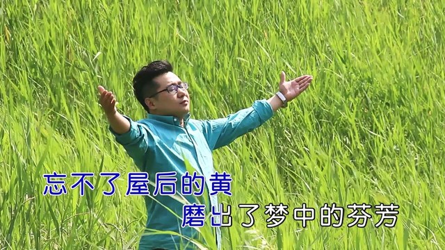 袁冰 - 老家的味道 (KTV版)