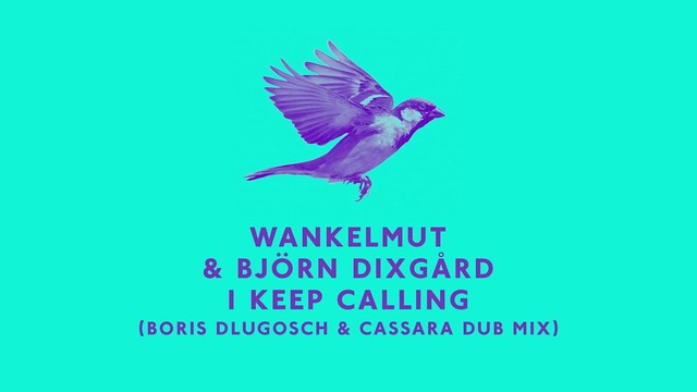 Wankelmut - I Keep Calling (Boris Dlugosch & Cassara Dub Mix) (Pseudo Video) (音频版)