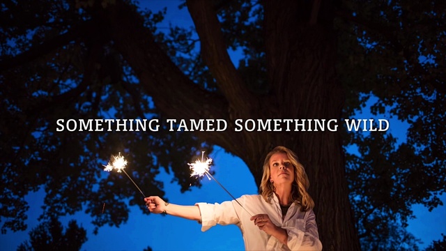 Mary Chapin Carpenter - Something Tamed Something Wild (歌词版)