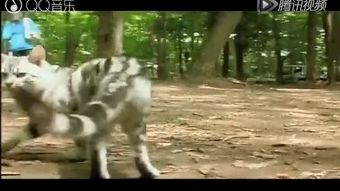 Humming Urban Stereo - Sophie Marceau