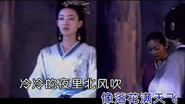 雨宗林 - 落花 (KTV版)