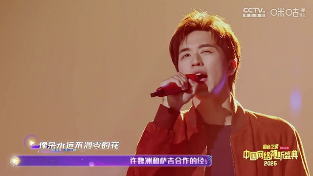 刘恋 - 民谣金曲联唱《青春之歌》 (2025中国网络视听盛典)