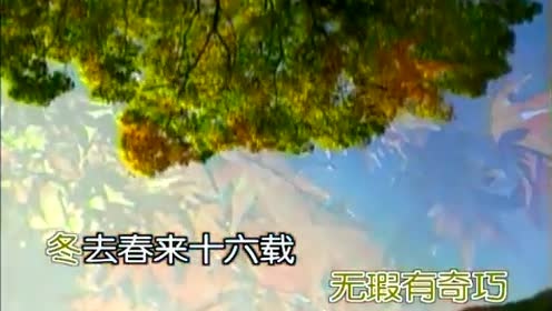 董文华 - 牧羊曲 (KTV版)