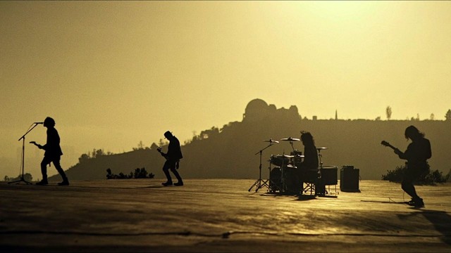 The BONEZ - Bird ~people with wings~