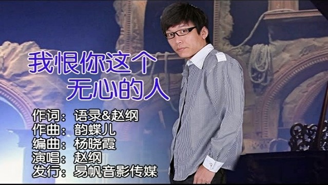 赵纲 - 我恨你这个无心的人 (KTV版)
