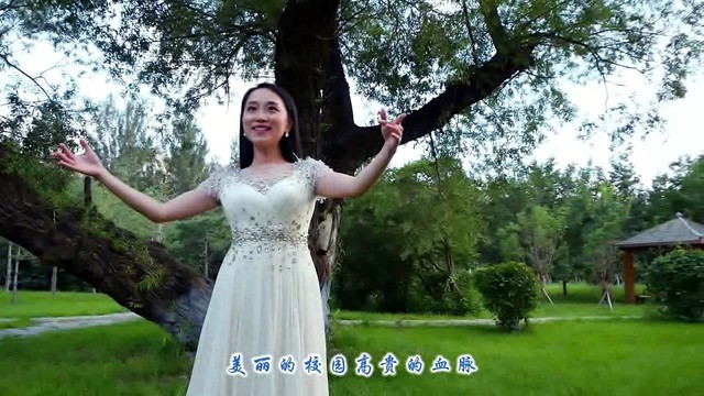 李萃琳 - 黑大情怀