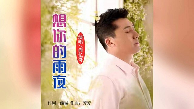 尚亿哥 - 想你的雨夜 (KTV版)