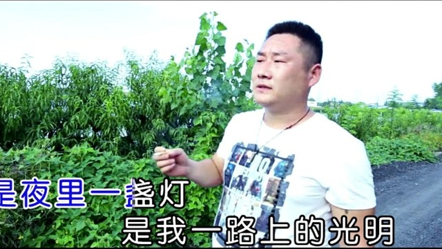 洪亮 - 小伙伴 (KTV版)