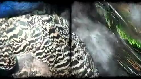 Jeff Bennett - I Discovered