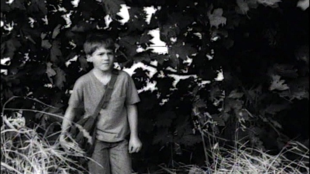 Everclear - Fire Maple Song