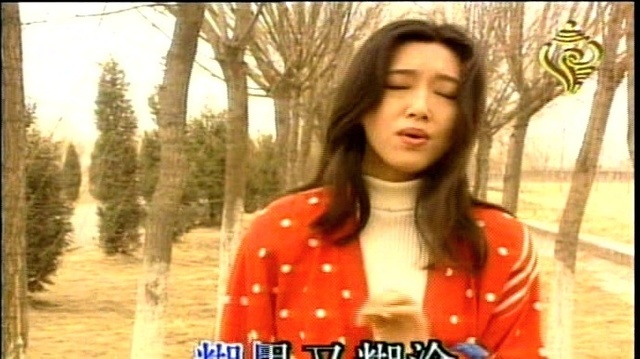 王志文 - 糊涂的爱 (KTV版)