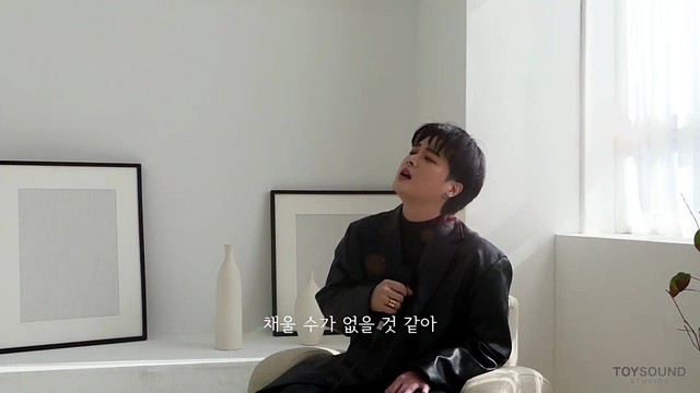 The Stray - 은하수