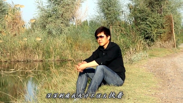 波拉 - 我爱上了寂寞