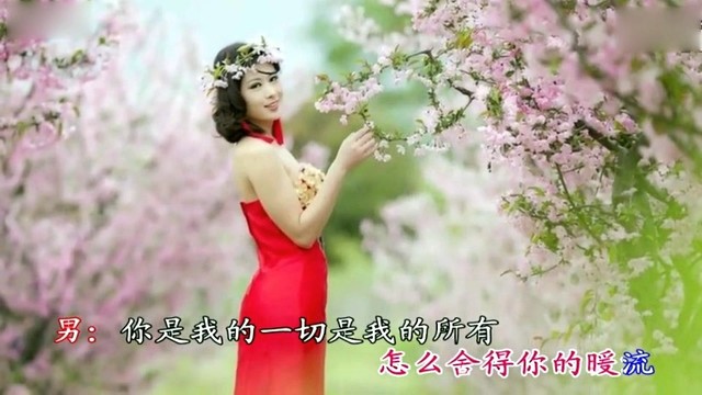 刘跃强 - 你的美丽我永远看不够 (KTV版)