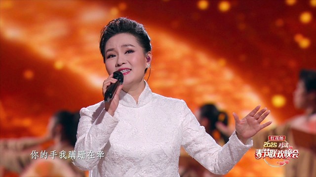 雷佳 - 如愿 (Live)