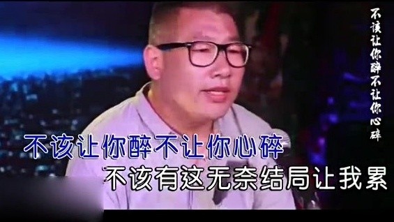 王应选 - 不该让你醉 (KTV版)