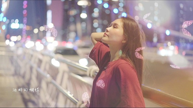 崔伟立 - 酒醉的蝴蝶