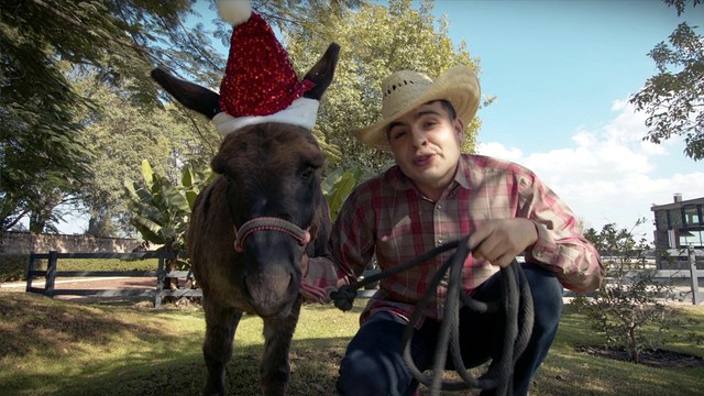 Beto Vega - Mi Burrito Sabanero