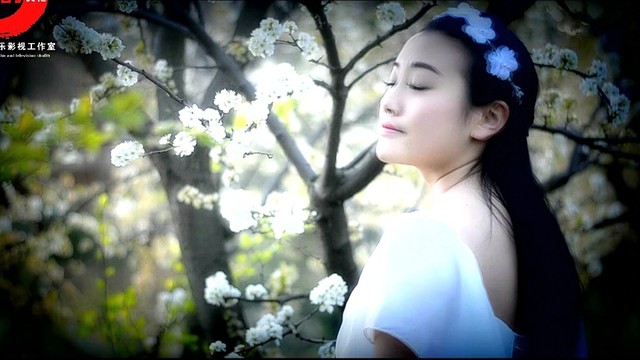 陈麒麟 - 一树梨花