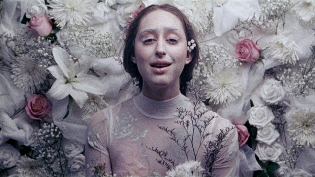 Fleurie - A World Beyond