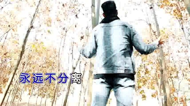 左右 - 亲爱的你在哪里 (KTV版)