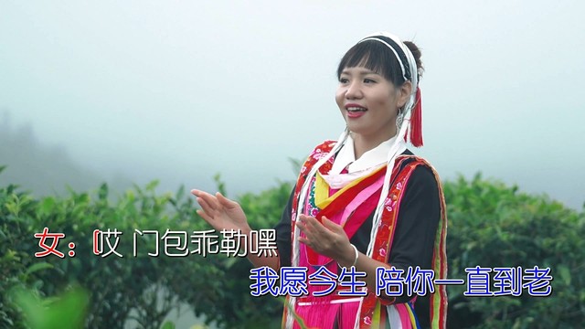 李彬 - 门莎门包一条心 (KTV版)