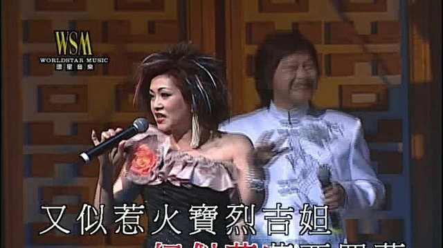 胡美仪 - 才子佳人 (KTV版)