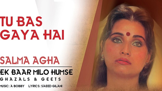 Salma Agha - Tu Bas Gaya Hai (音频版)