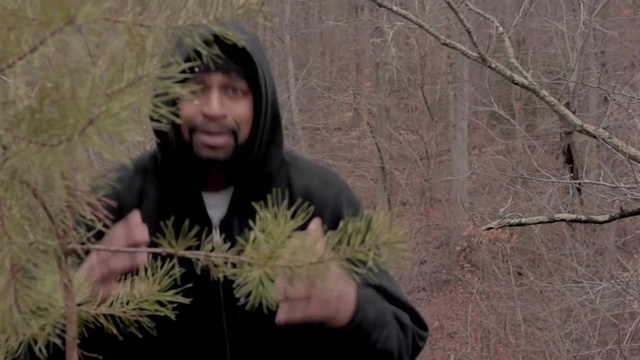 Wordsmith - The Limit