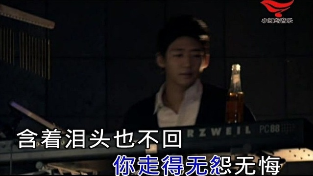 刘愉愉 - 爱无悔 (KTV版)