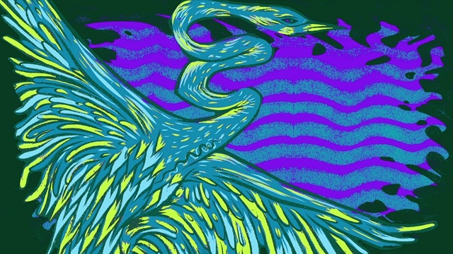 Maybird - Nocturne (Animated Pseudo) (Animated Pseudo)