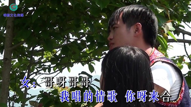 刘晓娟 - 情哥情妹唱情歌