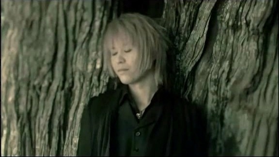 Kagrra - 沙罗双树の子护呗